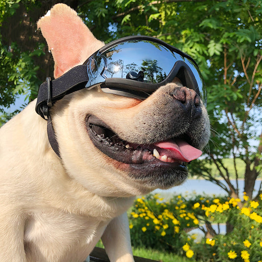 Aviator Windproof Goggles