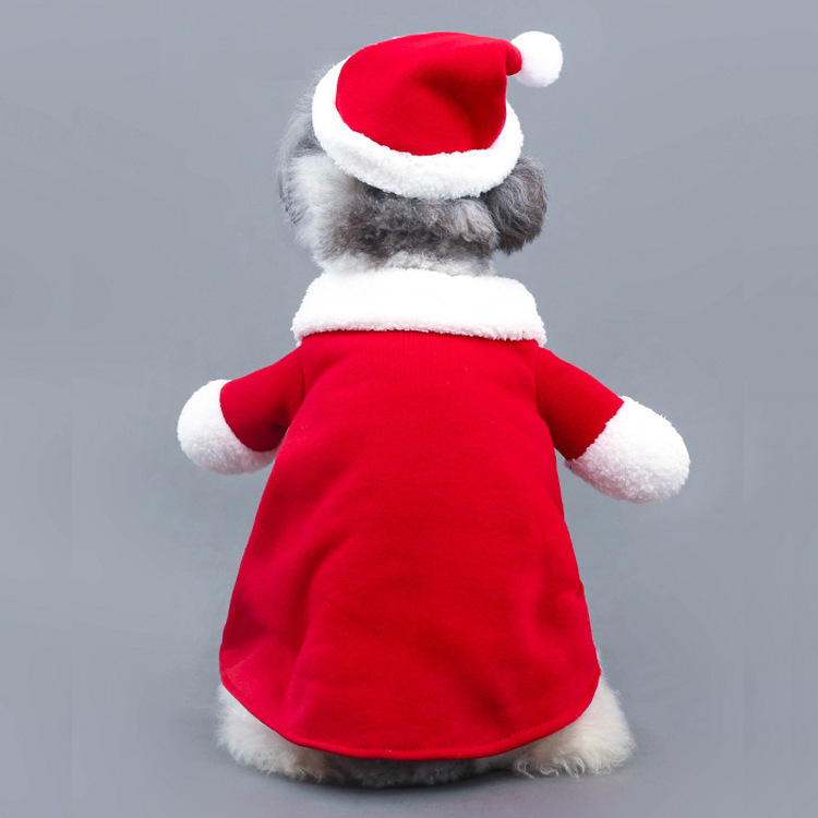 3D Santa Costume