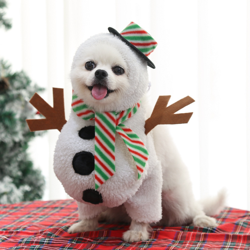 Snowman Christmas Costume