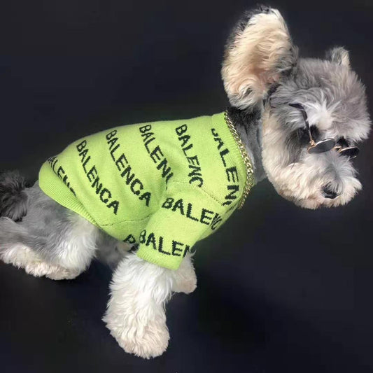 Balenca ( Balenciaga)  Dog Shirt
