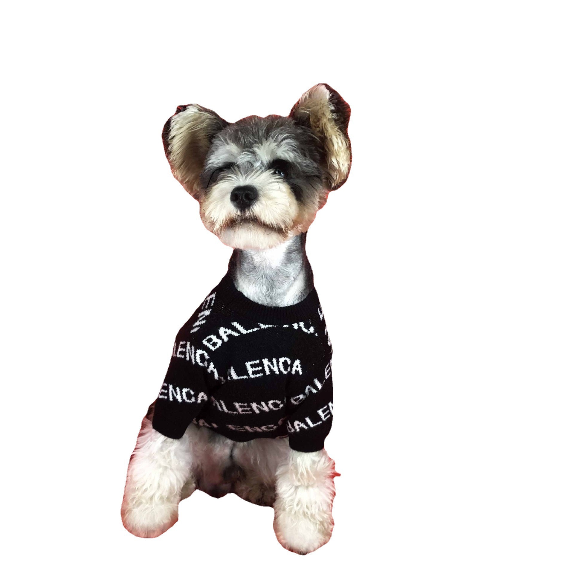 Balenciaga on sale dog sweater