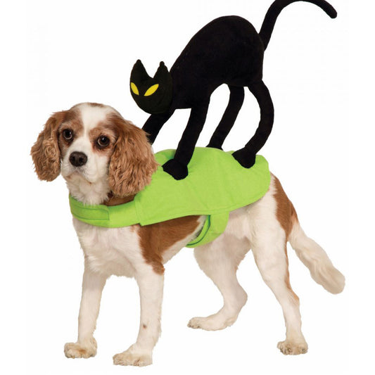 Cat on Dog Costume